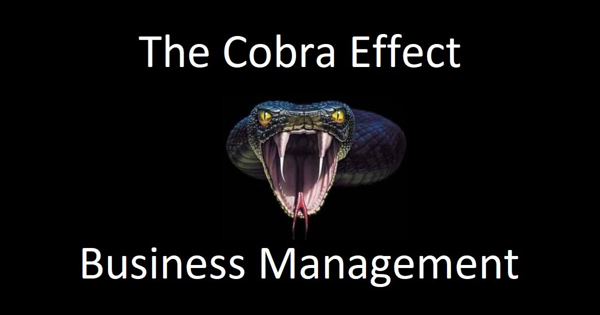 The Cobra Effect in Business Management